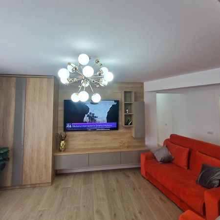 Ultracentral Luxury Apartament Куртя-де-Арджеш Экстерьер фото